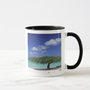 Caneca Caribe, Aruba. Praia Eagle