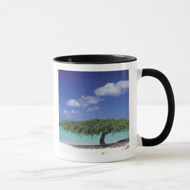 Caneca Caribe, Aruba. Praia Eagle (Direita)