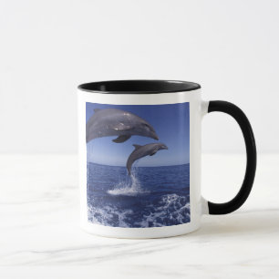 Caneca Caribe, golfinhos de gargalo