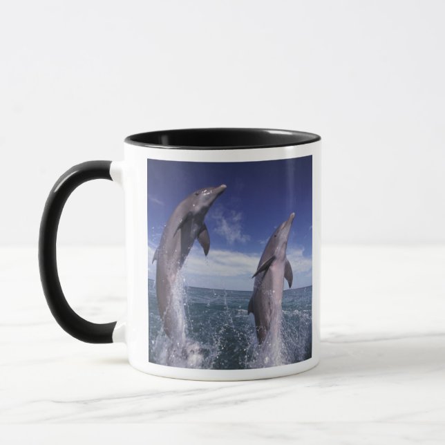 Caneca Caribe, golfinhos-de-garganta (Esquerda)