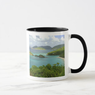 Caneca Caribe, Ilhas Virgens dos EUA, St. John, Tronco 2