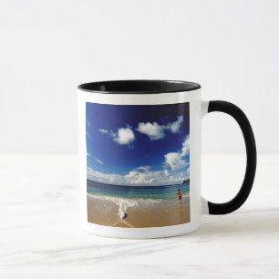 Caneca Caribe, Pequenas Antilhas, Índias Ocidentais, 2