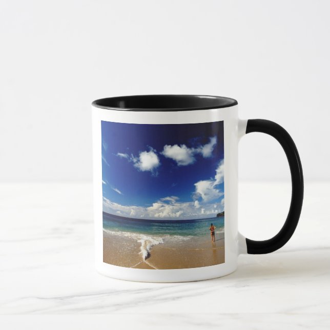 Caneca Caribe, Pequenas Antilhas, Índias Ocidentais, 2 (Direita)