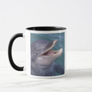 Caneca Caribenho, golfinho-nariz-de-garrafa