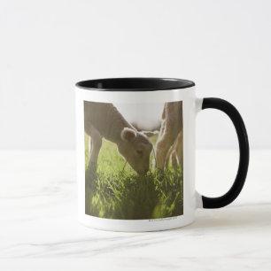 Caneca Carneiros que pastam na grama
