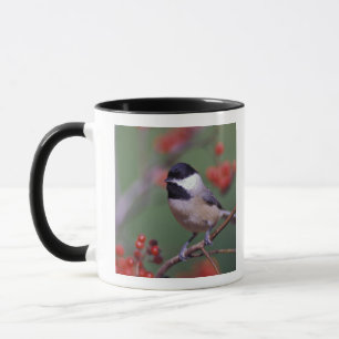 Caneca Carolina Chickadee