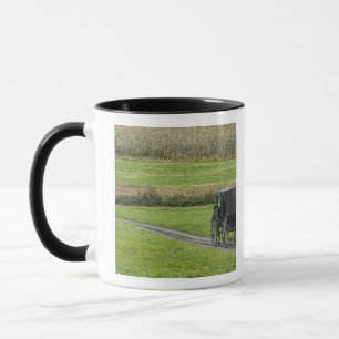 Caneca Carrinho de Amish na pista da fazenda, Ohio do