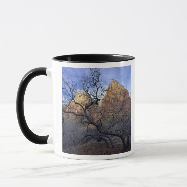 Caneca Carvalhos no inverno, Corte dos Patriarcas (Esquerda)
