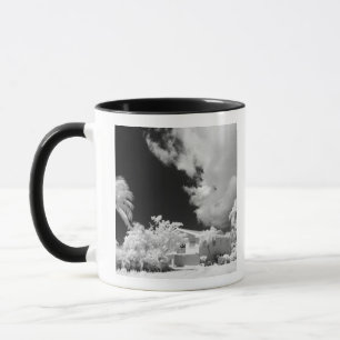 Caneca Casa das Florida Keys e suas palmeiras, EUA.