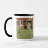 Casa vermelha gasta com um gato no gramado