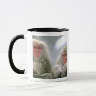 Caneca Casais de Macacos Neve, Macaco Japonês,