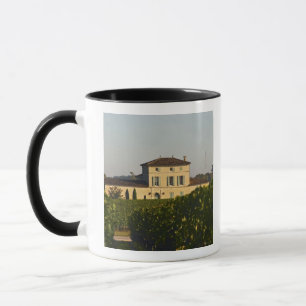 Caneca Castelo Lafleur Petrus e vinha, em Pomerol,