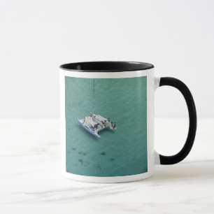 Caneca Catamarã, Ilhas Mamanuca, Fiji, Pacífico Sul