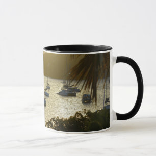 Caneca Catamarans e embarcações de navegação