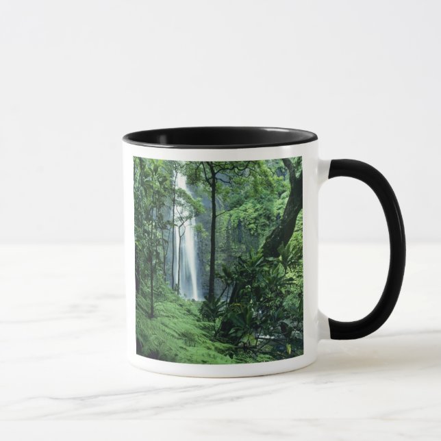 Caneca Cataratas Hanakapiai ao longo da Costa Na Pali, Ka (Direita)