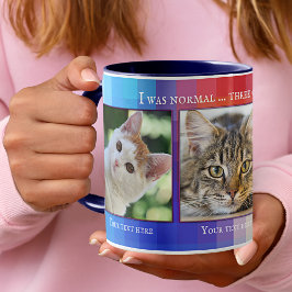 Caneca Cats Engraçados Coloridos, Foto Personalizada