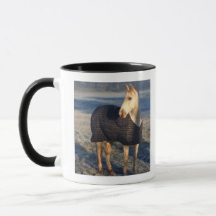 Caneca cavalo