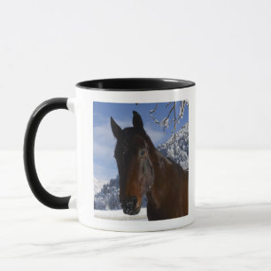Caneca Cavalo de Brown no inverno