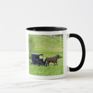 Caneca Cavalo e carruagem Amish perto de Berlim, Ohio.