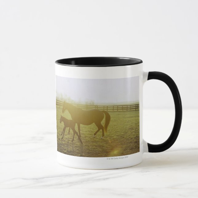 Caneca Cavalo e potro que funcionam no pasto (Direita)