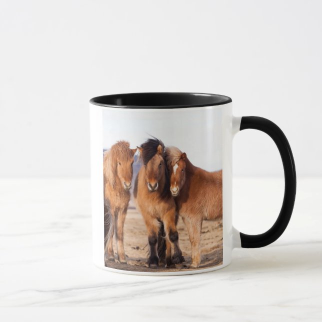 Caneca Cavalo islandês durante o inverno (Direita)