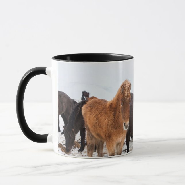 Caneca Cavalo islandês durante o inverno na Islândia (Esquerda)