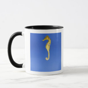 Caneca Cavalo marinho
