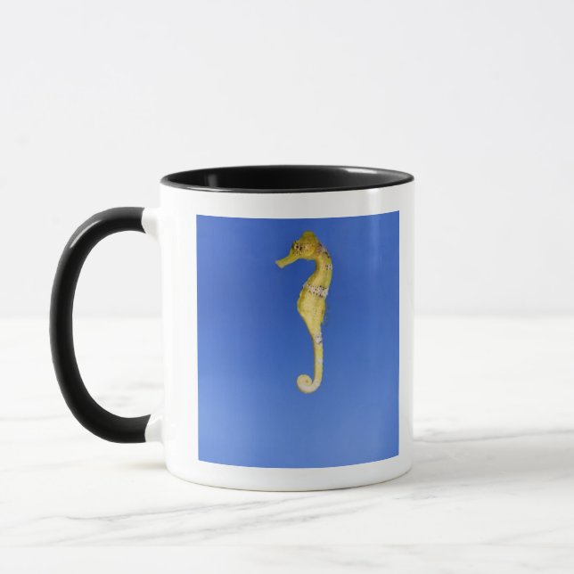 Caneca Cavalo marinho (Esquerda)