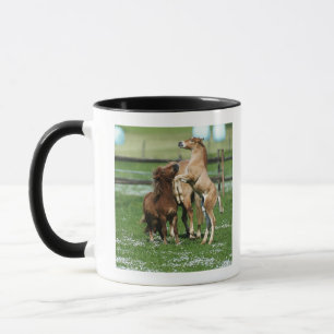 Caneca Cavalos 3