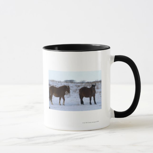 Caneca Cavalos no cabo Kiritappu, prefeitura de Hokkaido, (Direita)