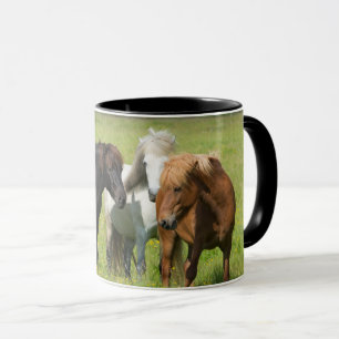 Caneca Cavalos no Ranch, Sul da Islândia