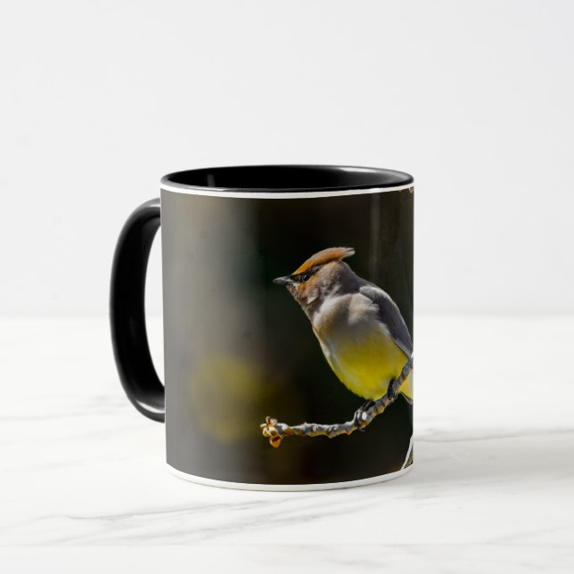 Caneca Cedar Waxwing Songbird Original Foto de Pássaro Se (Frente Esquerda)