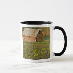 Caneca Celeiro vermelho antigo na borda do vinhedo Zinfan