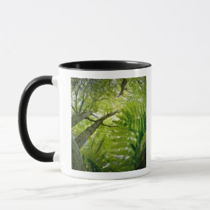 Caneca Cena de floresta no Parque Nacional Acadia, Maine.