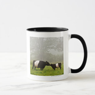 Caneca Cena enevoada da vaca cercada de Galloway que sere
