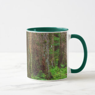 Caneca Cenário de floresta primária