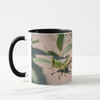 Caneca Cerâmica De Gafanhoto Inspirada Na Natureza