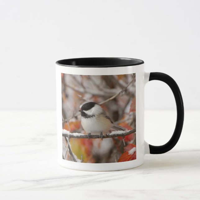 Caneca Chapim-de-cabeça-preta Adulto na Neve (Direita)