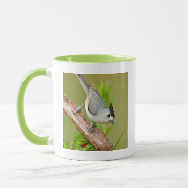 Caneca Chapim-de-cristas-pretas (Esquerda)