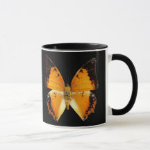 Charaxes de Borda Negra Borboleta Café Mug