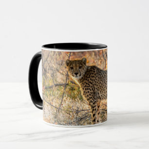 Caneca Cheetah Olhando ao redor