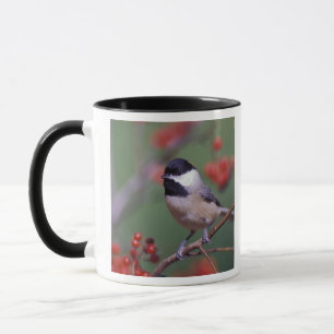 Caneca Chickadee de Carolina