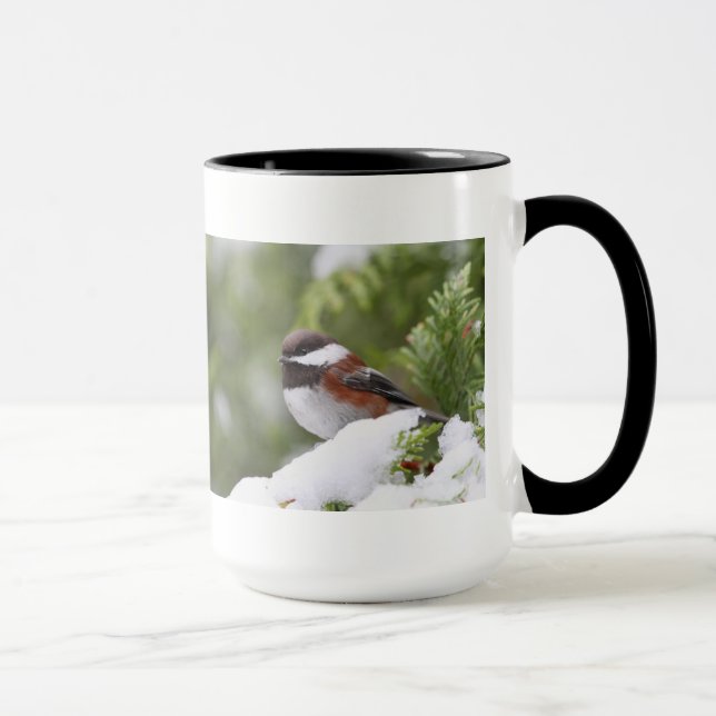 Caneca Chickadee na neve em uma árvore de cedro (Direita)