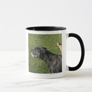 Caneca Chihuahua na parte traseira 2 de great dane