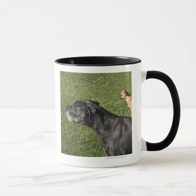 Caneca Chihuahua na parte traseira 2 de great dane (Direita)