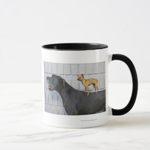 Caneca Chihuahua na parte traseira de great dane