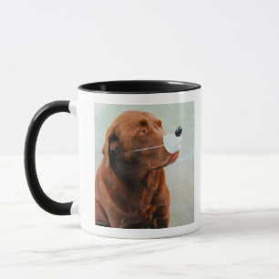 Caneca Chocolate Labrador que veste um nariz falsificado