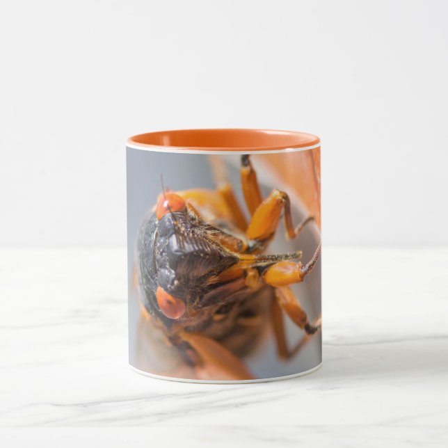 Caneca Cicada Mania Magicada Laranja (Centro)