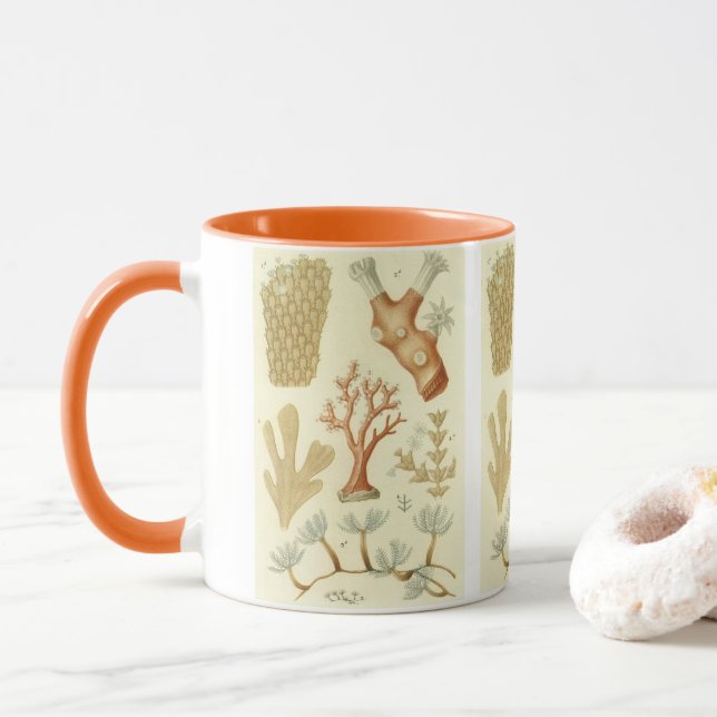 Caneca Ciência — Biologia Do Livro De Têxteis — Animais D (Com Donut)
