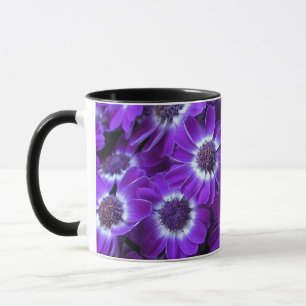 Caneca Cinerarias brancas roxas